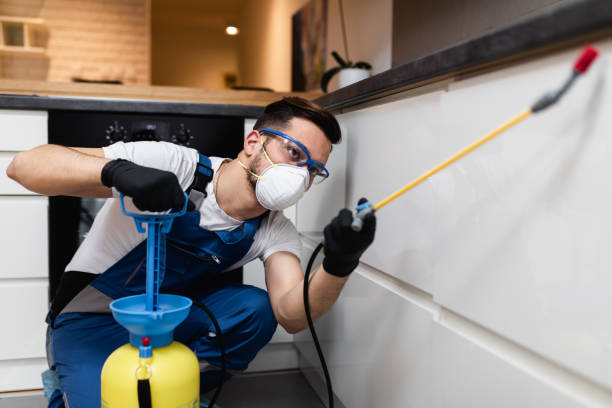Best Cockroach Control Services  in Birch Run, MI